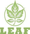 Transparent-LowQuality w-name